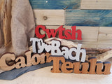 Diolch Thanks Wood Block Word